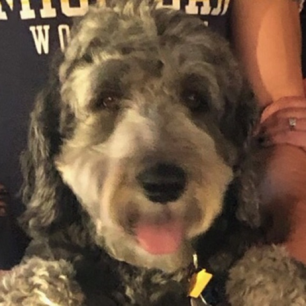 Meet your Posher, Amber